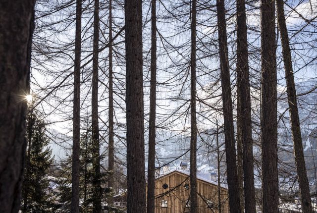 Casa Genesis, Cortina