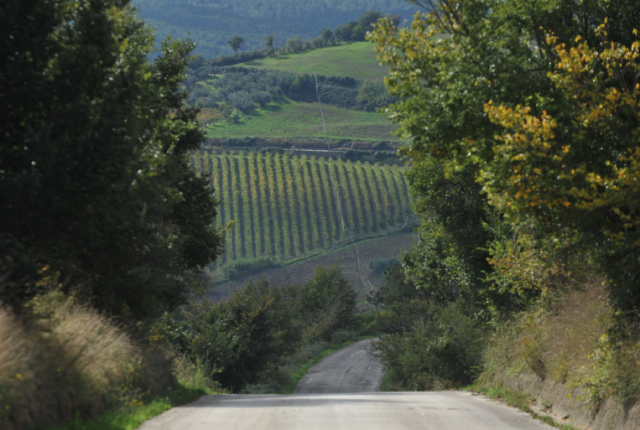 Strada Molise