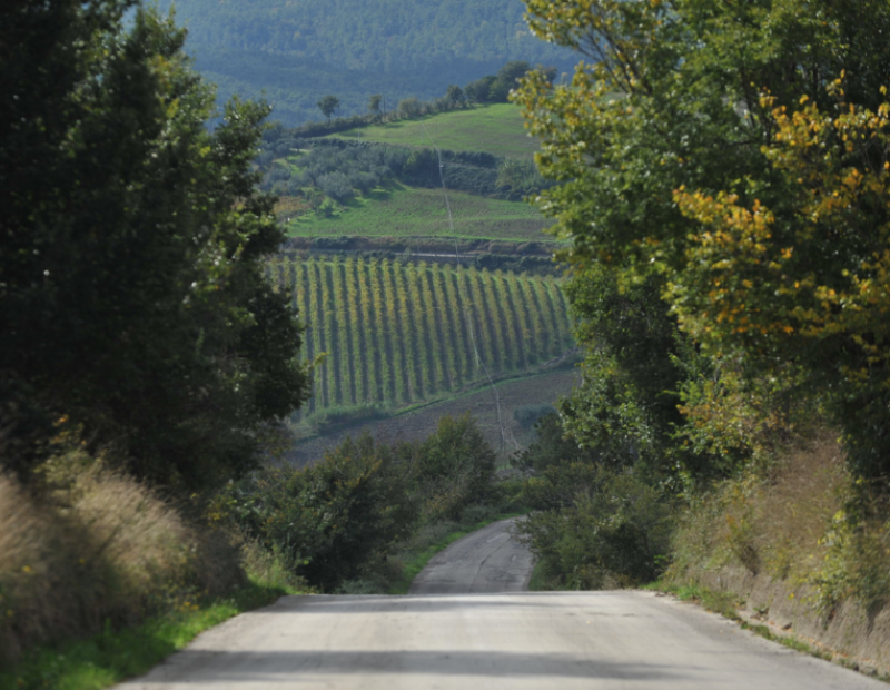 Strada Molise
