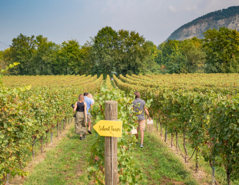 Franciacorta