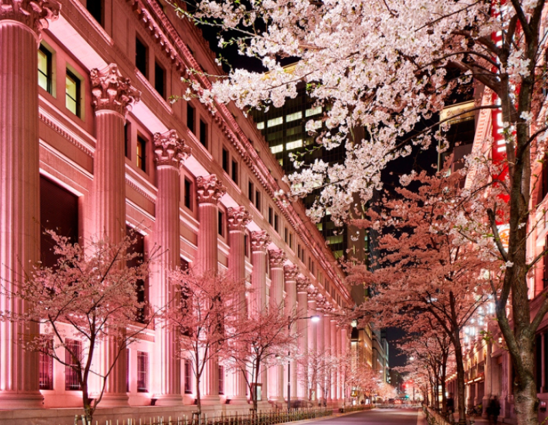 fioritura Mandarin Oriental, Tokyo