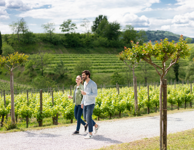 friuli venezia giulia