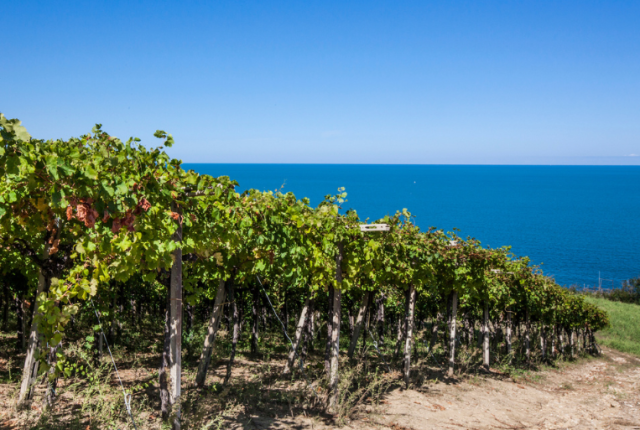 Abruzzo estate