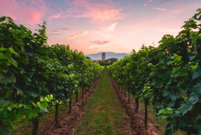 Franciacorta