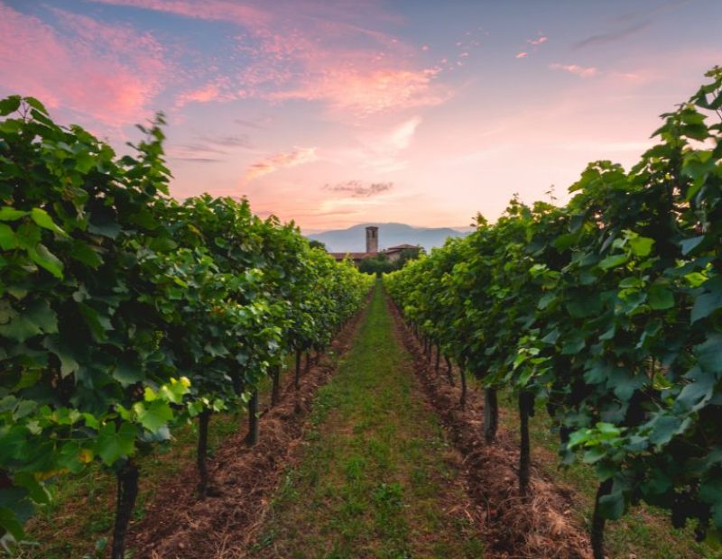 Franciacorta