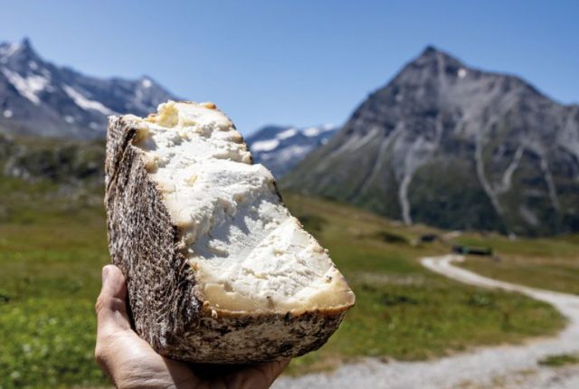 Il Lait Brusc, formaggio ad acidificazione naturale realizzato dal casaro Alain Quaranta (ph. Andrea Di Lorenzo)
