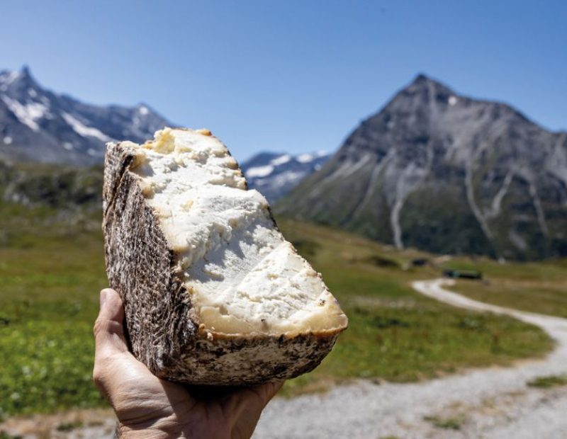 Il Lait Brusc, formaggio ad acidificazione naturale realizzato dal casaro Alain Quaranta (ph. Andrea Di Lorenzo)