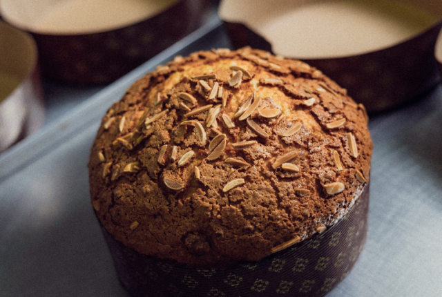 Panettone Torta di Riso di Bologna