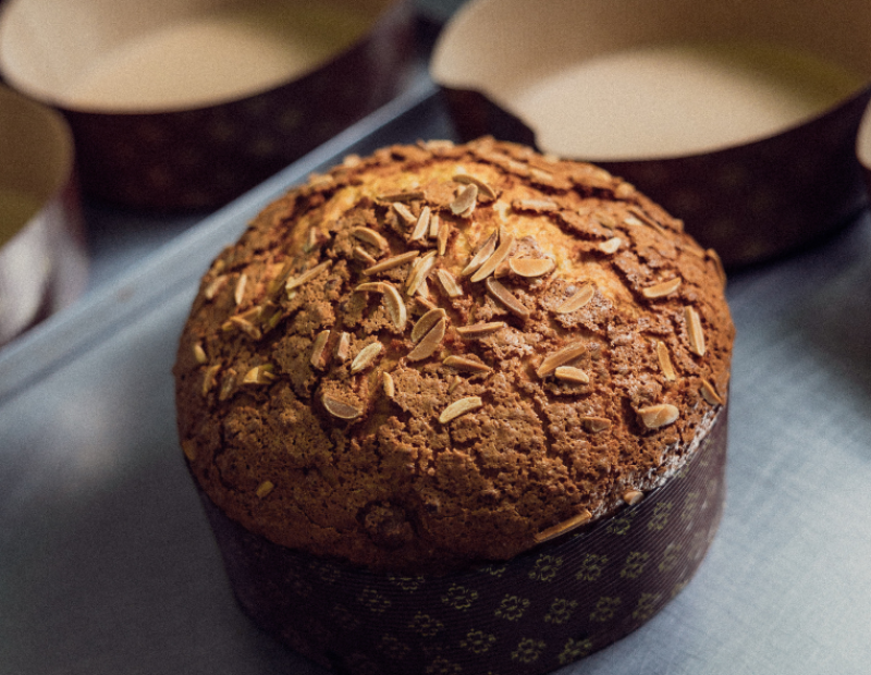 Panettone Torta di Riso di Bologna