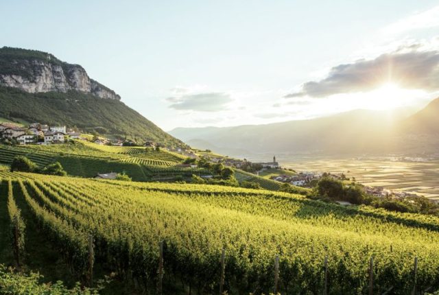 Il paese di Cortaccia circondato da vigneti (ph. Benjamin Pfitscher)