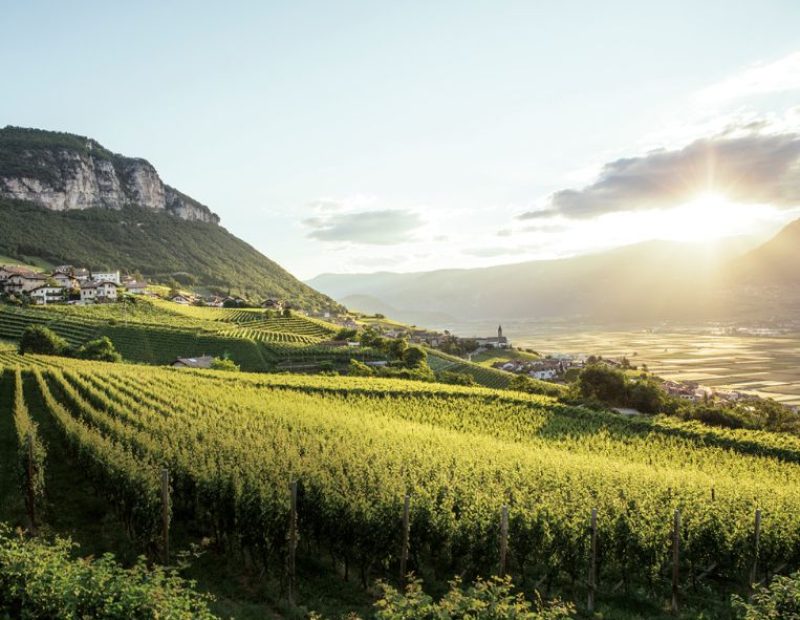 Il paese di Cortaccia circondato da vigneti (ph. Benjamin Pfitscher)