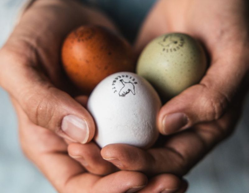 Le rainbow eggs di Fattoria Sant'Eliseo (ph. Silvia Poli Photography)