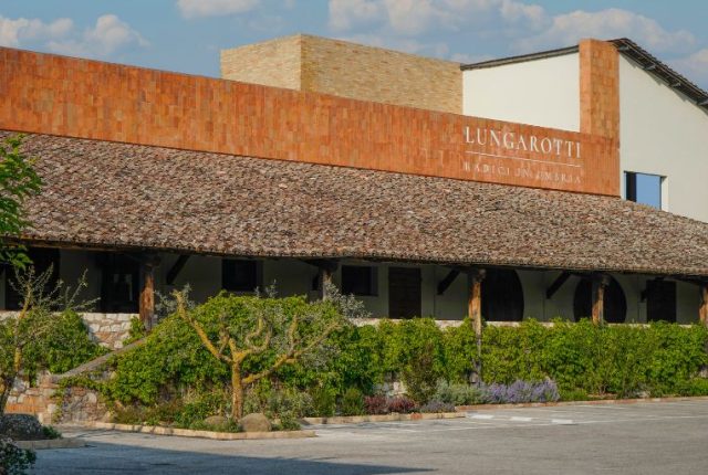 La più famosa cantina di Torgiano