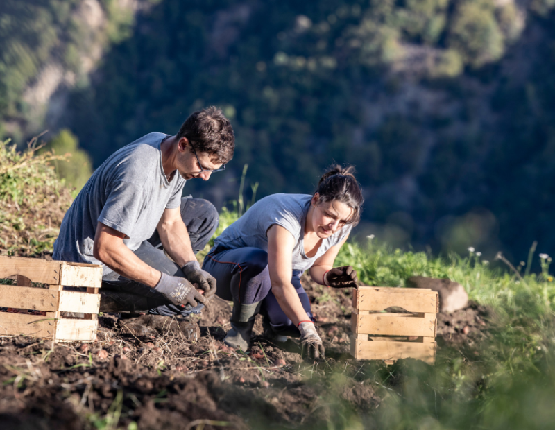 Martina Bernardi Lantschner, agricoltrice del maso Höller di Collepietra ph. Westside