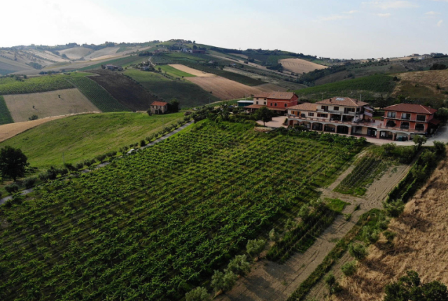 Paesaggio Emidio Pepe in Abruzzo