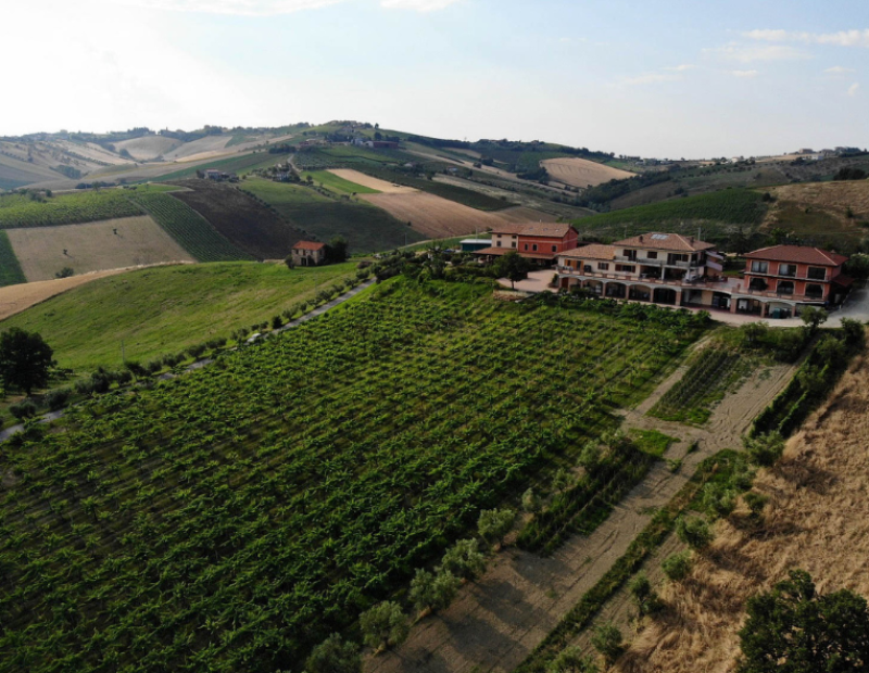 Paesaggio Emidio Pepe in Abruzzo