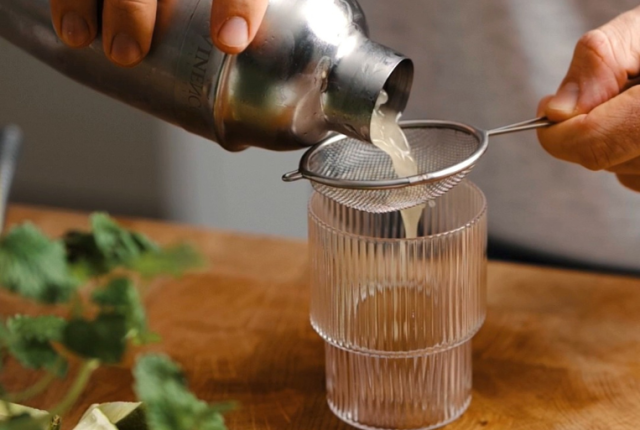 mixology botanica