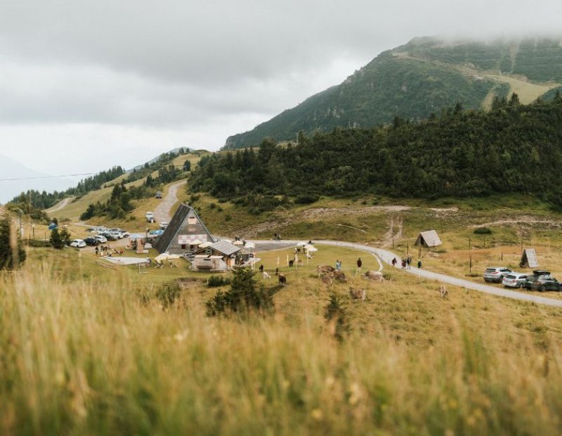 Tamai Zoncolan
