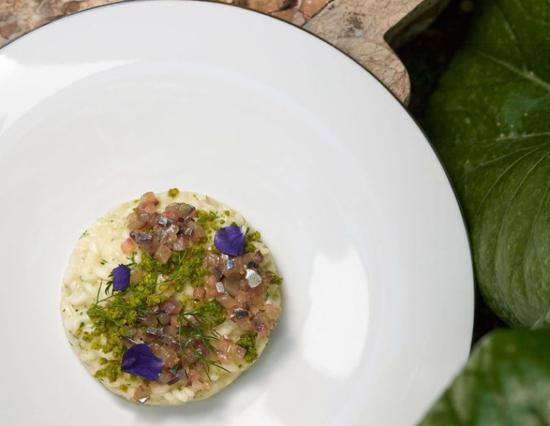 Risotto Carnaroli con alici, finocchietto e pistacchio di Bronte