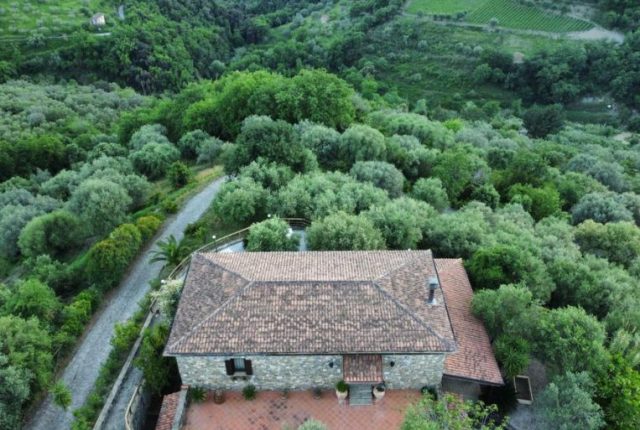 Cilento