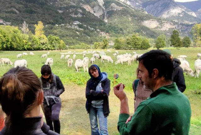 Scuola di Giovani Pastori