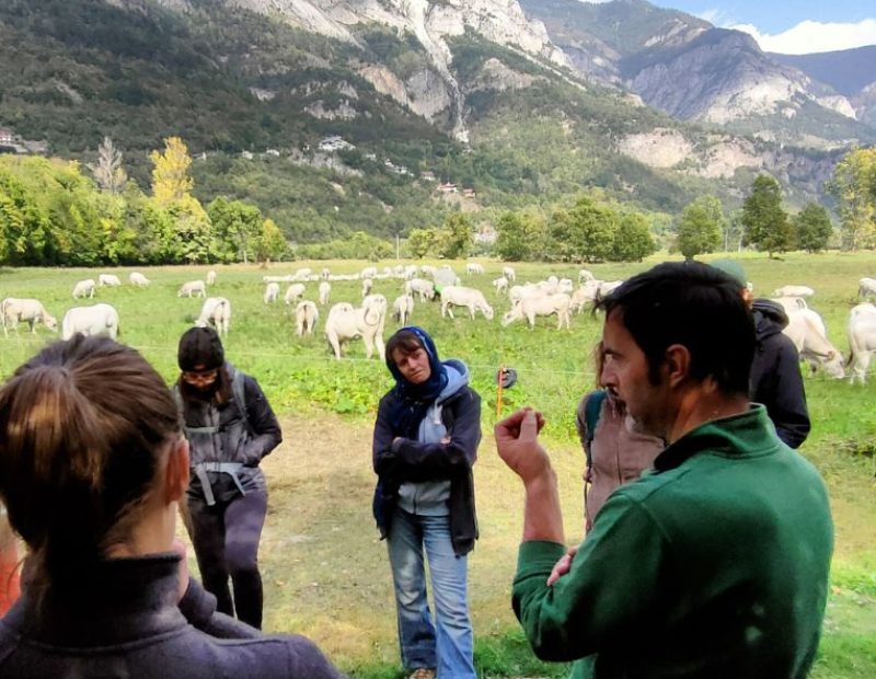 Scuola di Giovani Pastori