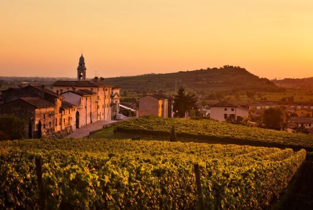 Nella pagina accanto. Le colline vulcaniche del Veneto (ph. Charley Fazio).