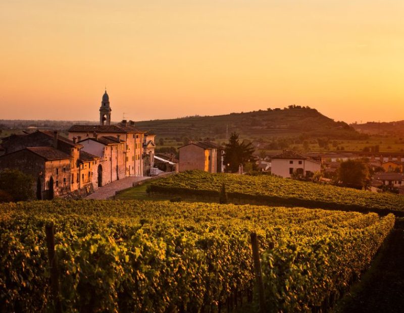 Nella pagina accanto. Le colline vulcaniche del Veneto (ph. Charley Fazio).