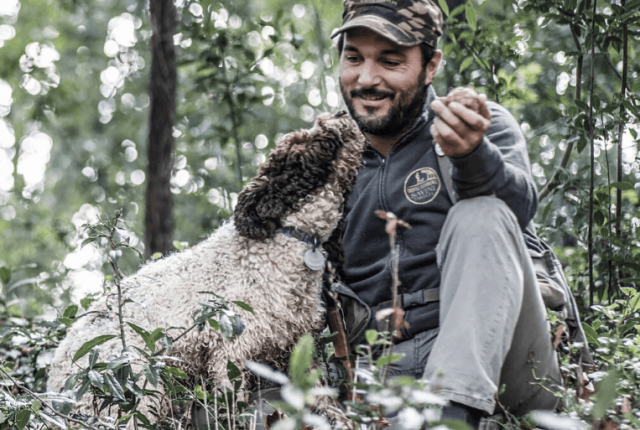 caccia al tartufo