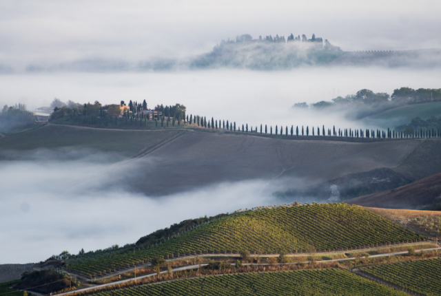 Montalcino