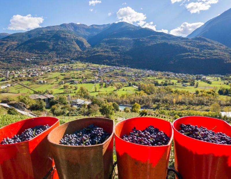 Valtellina