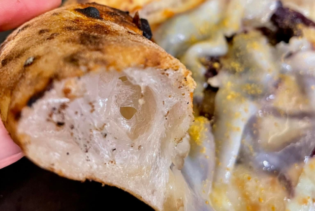 alveolatura-pizza-significato-formazione