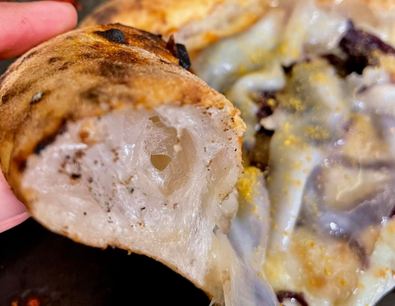 alveolatura-pizza-significato-formazione