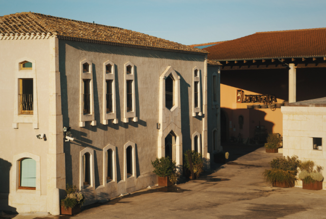 argiolas-50-cantine-top-2026