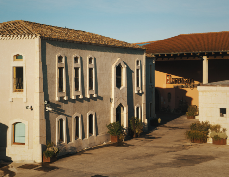 argiolas-50-cantine-top-2026