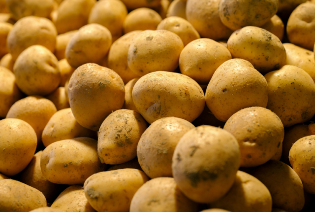 belgio-surplus-patate-crisi-frites