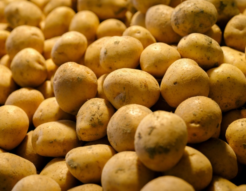 belgio-surplus-patate-crisi-frites