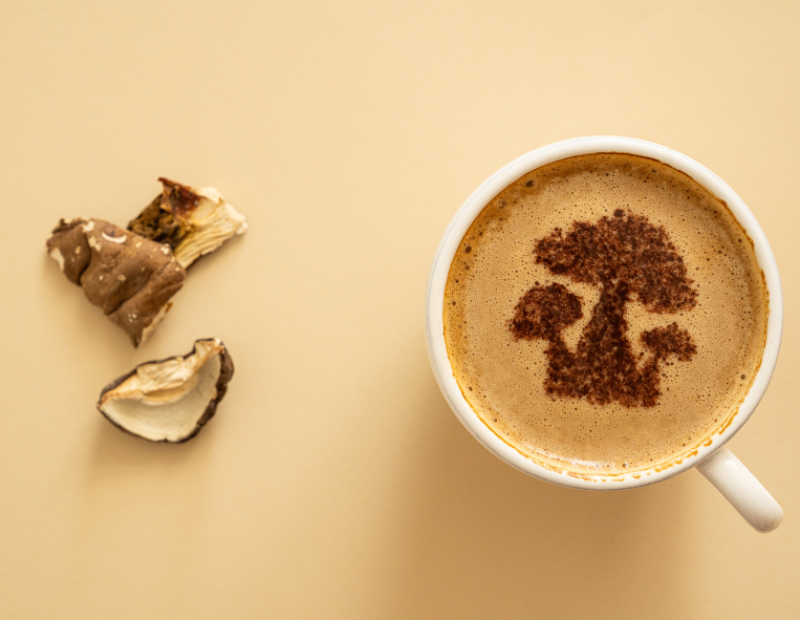 caffe-ai-funghi-mushroom-coffee-analisi