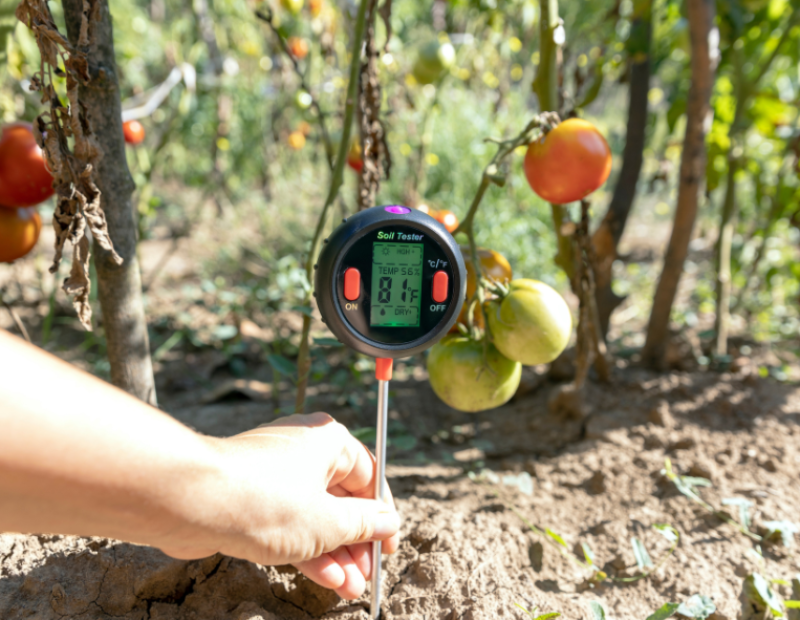 cambiamento-climatico-verdure