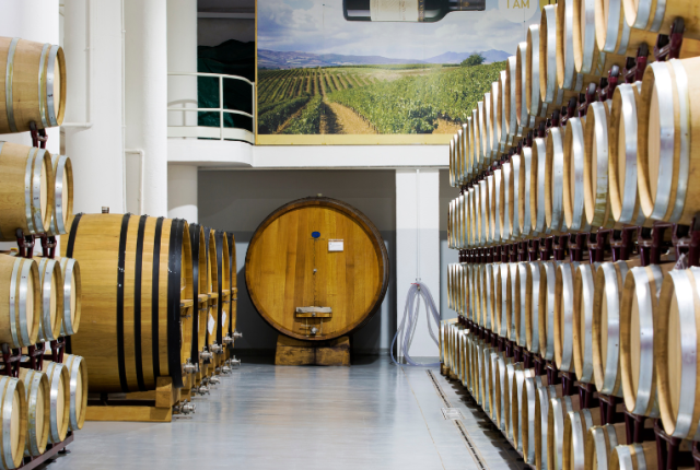 cantina-di-venosa-50-cantine-top-2026