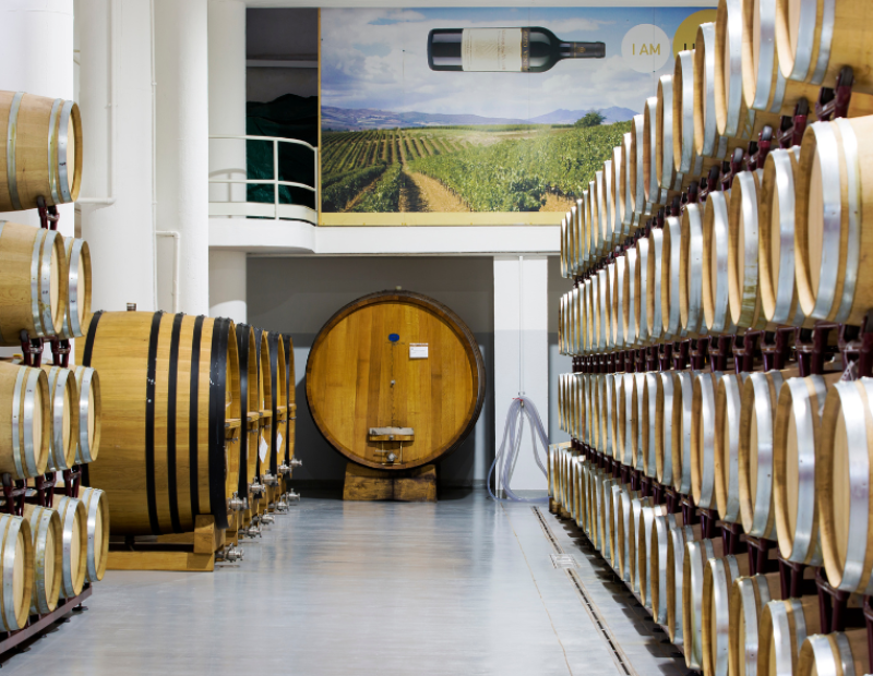 cantina-di-venosa-50-cantine-top-2026