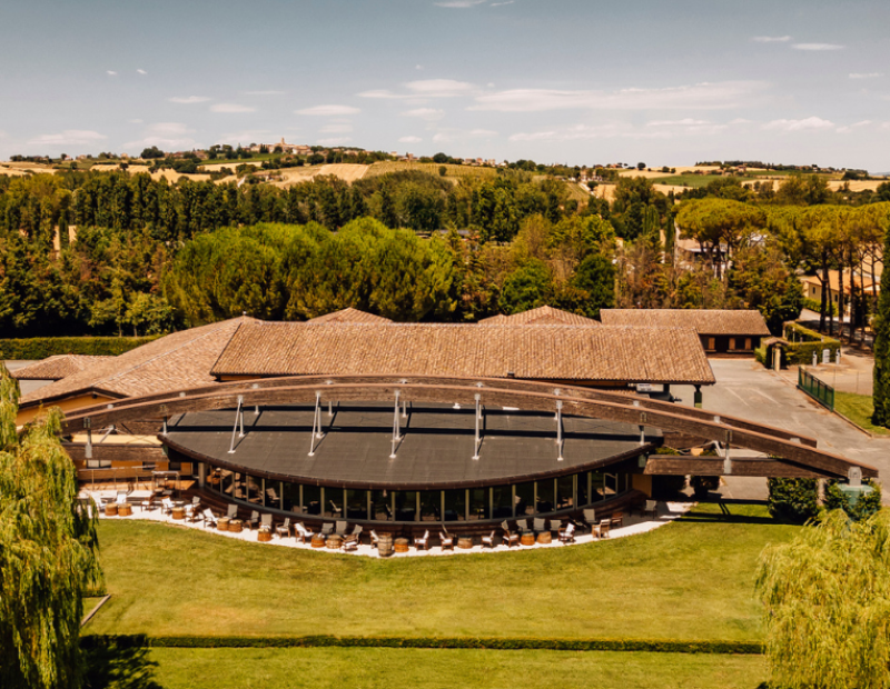 cantina-monte-vibiano-50-cantine-top-2026