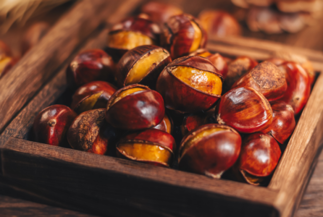 castagne-marroni-differenze-come-riconoscerli