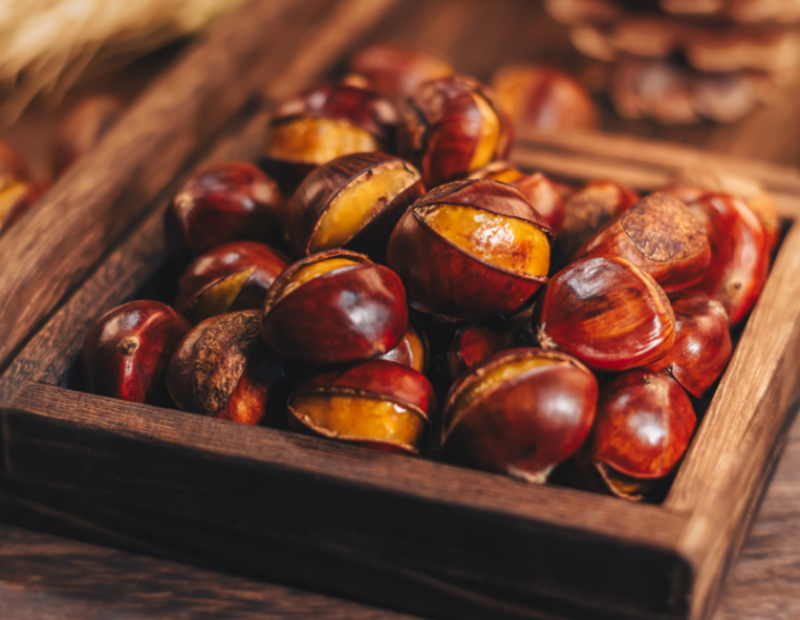 castagne-marroni-differenze-come-riconoscerli