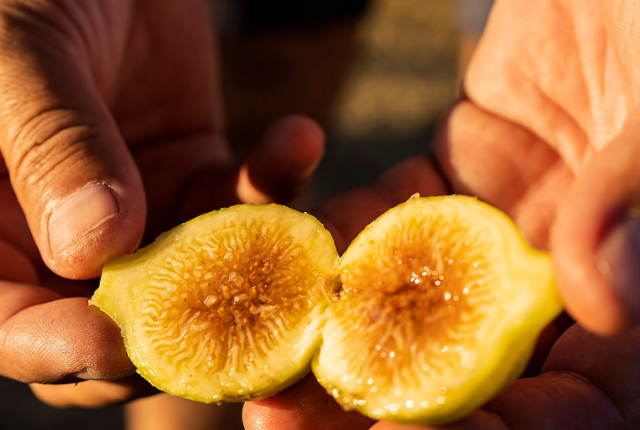 cilento-tastes-2026-capaccio-paestum-evento-gastronomia