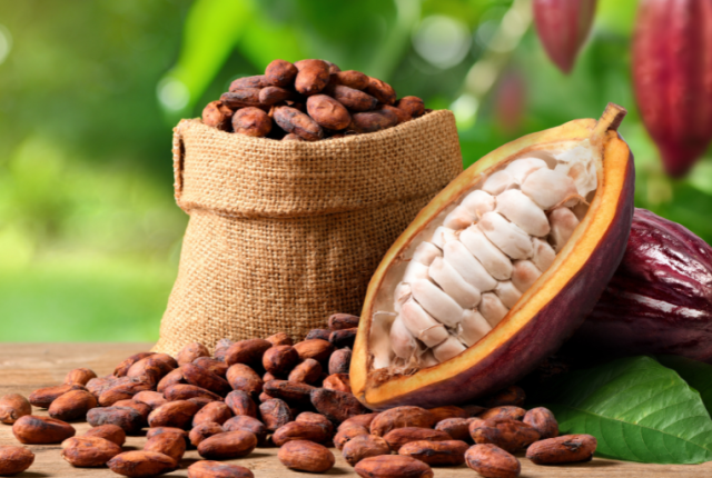 cioccolato-batteri-scienza-cacao
