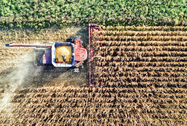 co2-cibo-meno-nutriente-piu-calorico-ricerca