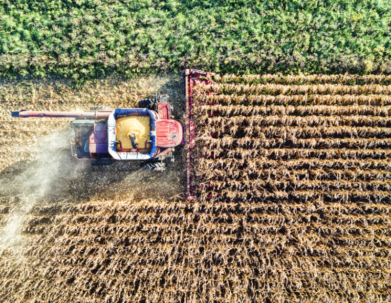 co2-cibo-meno-nutriente-piu-calorico-ricerca