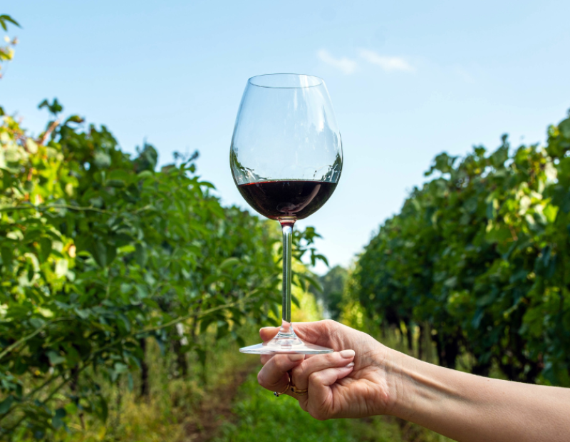 consorzio-cesanese-olevano-romano-doc