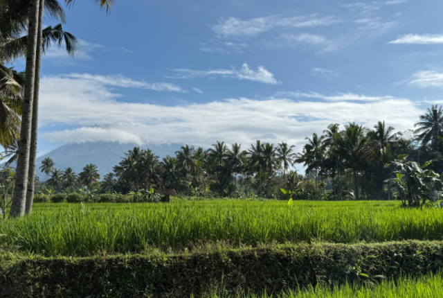 cosa-e-come-si-mangia-in-indonesia cosa-e-come-si-mangia-in-indonesia